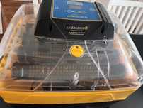 Brinsea 28 ovation eco