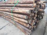 Drewno z Budowy Stemple Budowlane Drewniane  290cm Szalunki