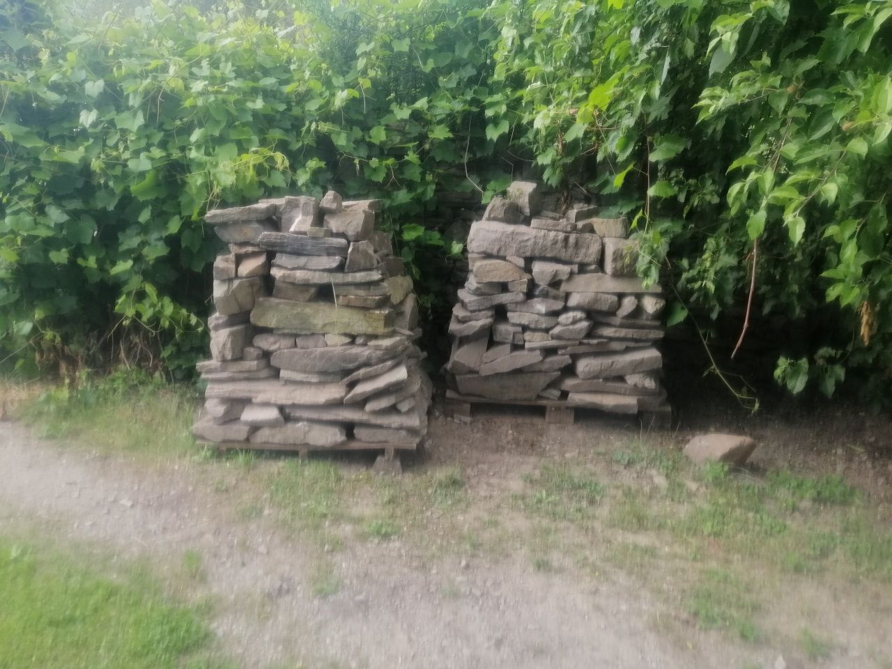Sprzedam Kamień gnejs