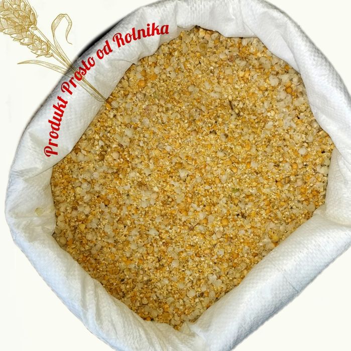 Groch drobny karma  opakowanie 20kg wysyłka natychmiast Inpost