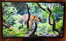 Продам IPS монитор 24" Dell P2417H