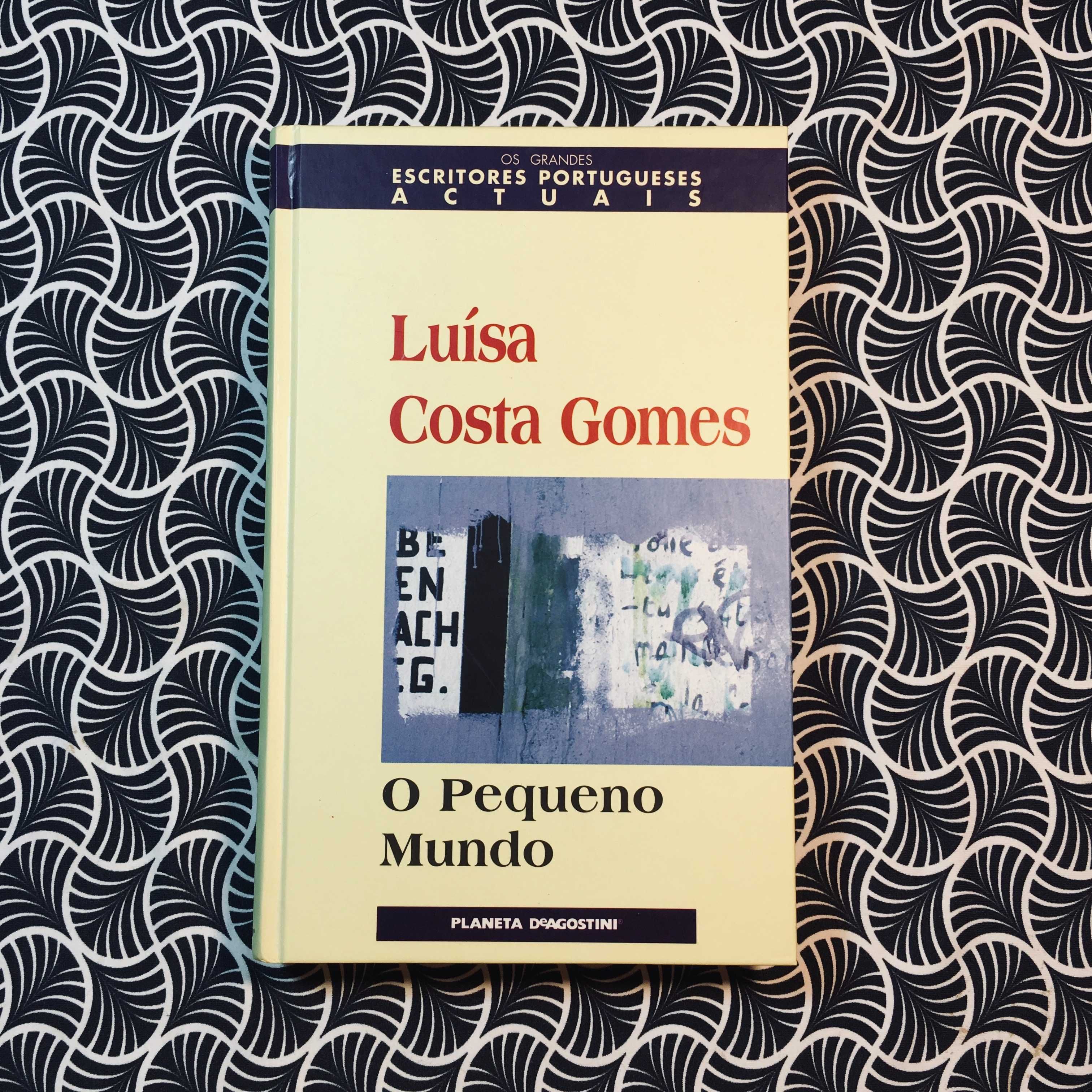 O Pequeno Mundo - Luísa Costa Gomes