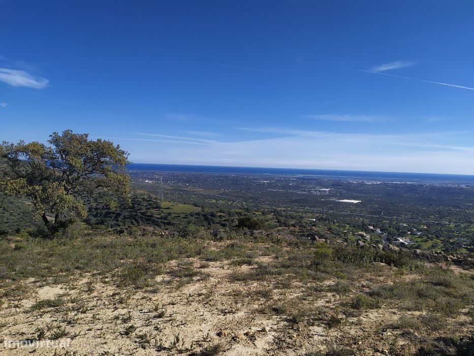 Terrenos rústicos C/ vista mar Estoi