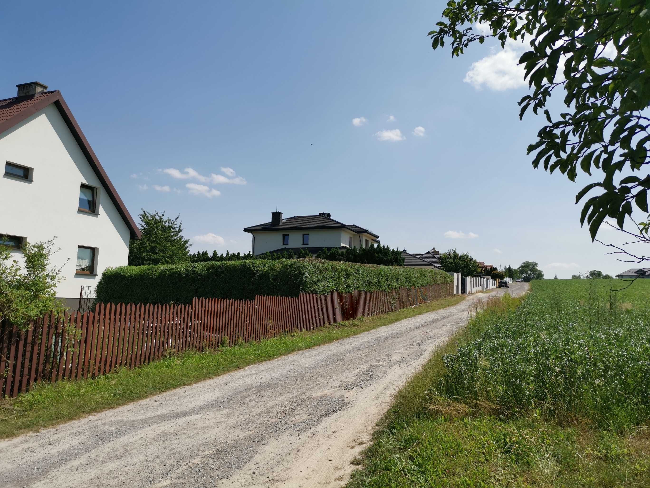 Pielęgnacja zieleni, koszenie traw,prace porządkowe,usługi ogrodnicze.