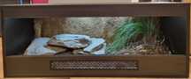 Terrarium 100x40x40 dla żółwia lądowego