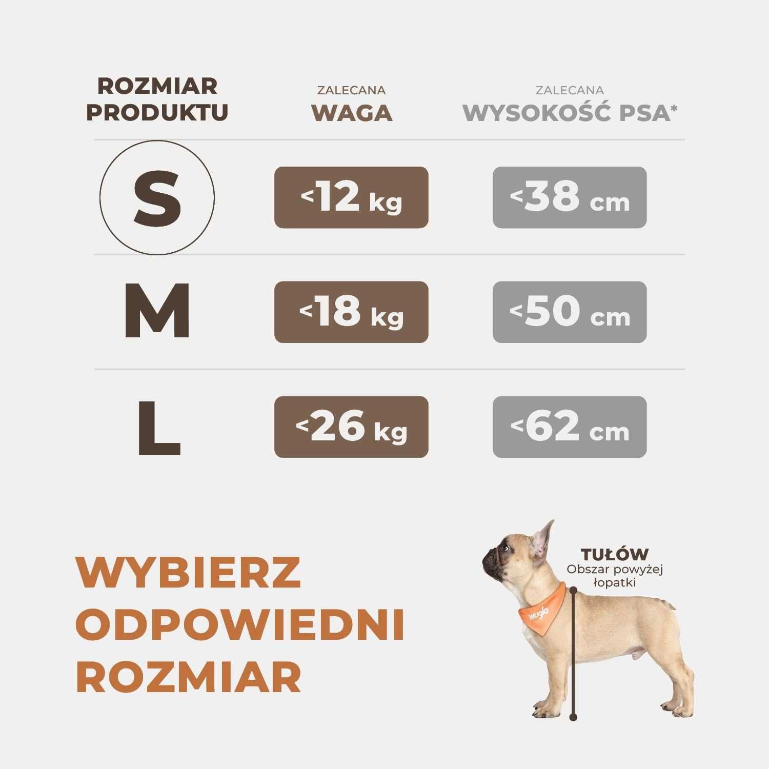 Wyjątkowo stabilny fotelik samochodowy dla psa S