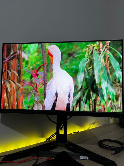 Monitor Lenovo Legion 24" LED IPS FullHD 180Hz Altura Ajustable