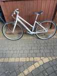Rower Specialized Vita Sport