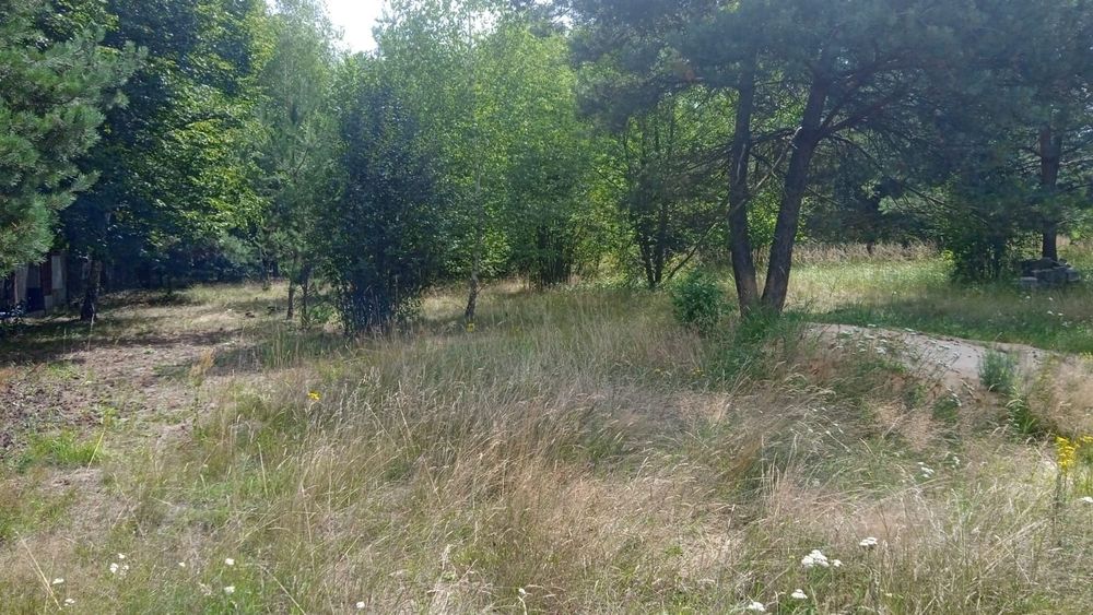 Sprzedam ładne działki budowlane Wąsosz
