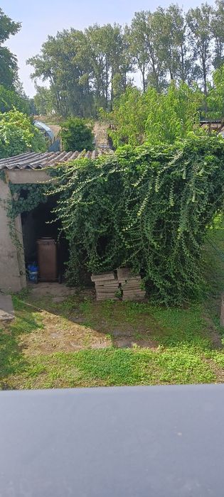 Gruz-cegła za darmo