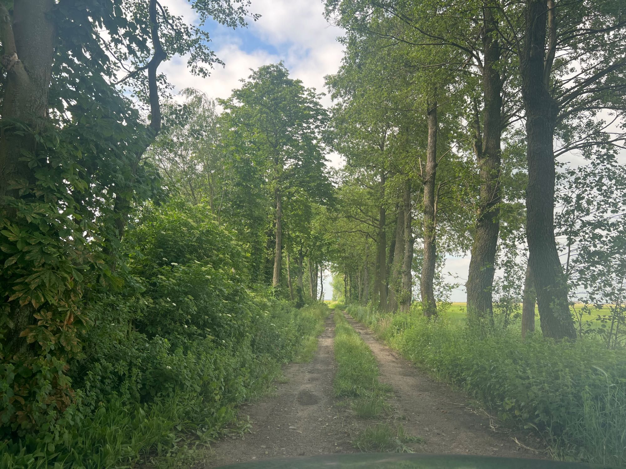 Siedlisko dom plus budynki gospodarcze