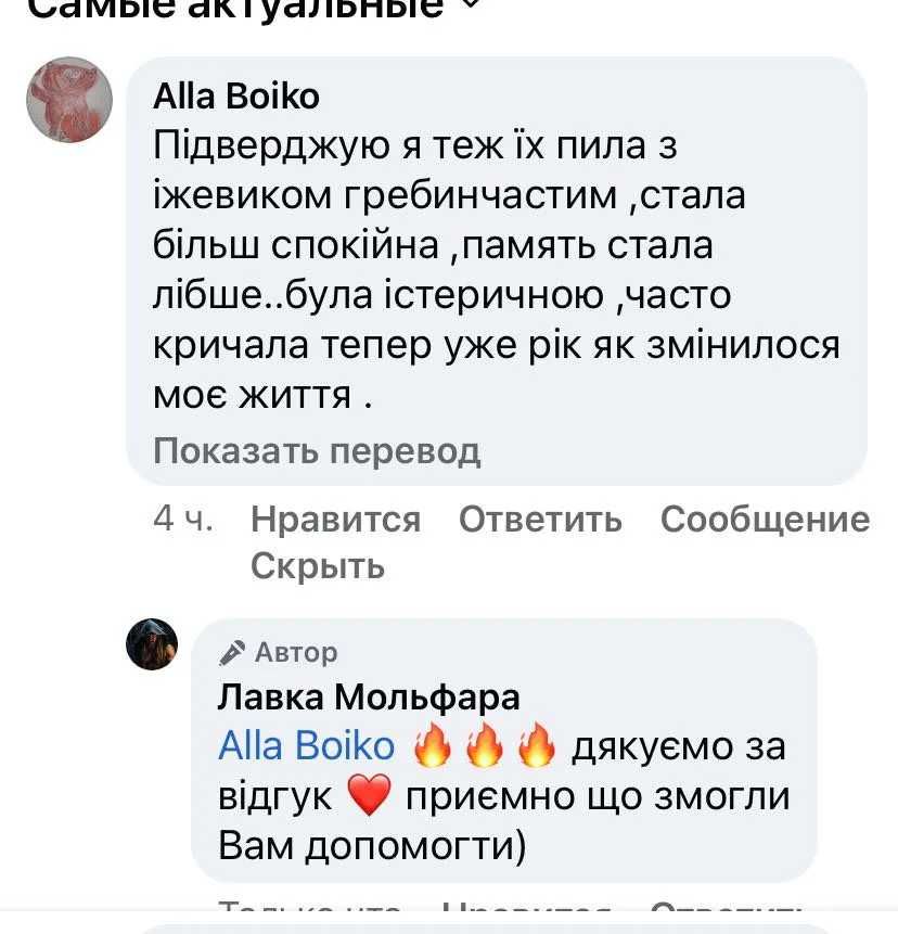 РОЗПРОДАЖ! Ежовик гребенчатый + Витамин С , ежовик 180 капсул