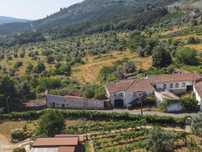 Quinta
