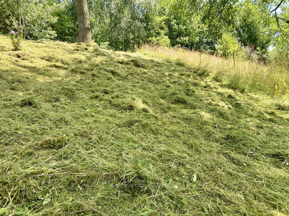 Koszenie trawników, usuwanie zarośli, prace ogrodowe