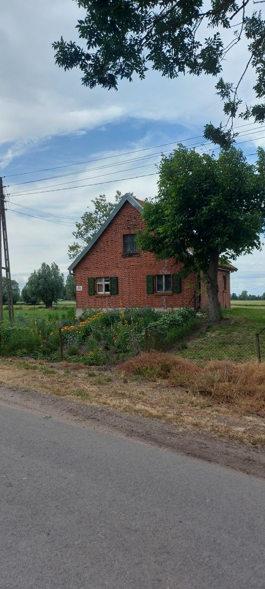 Działka budowlana Solnica 42 ary