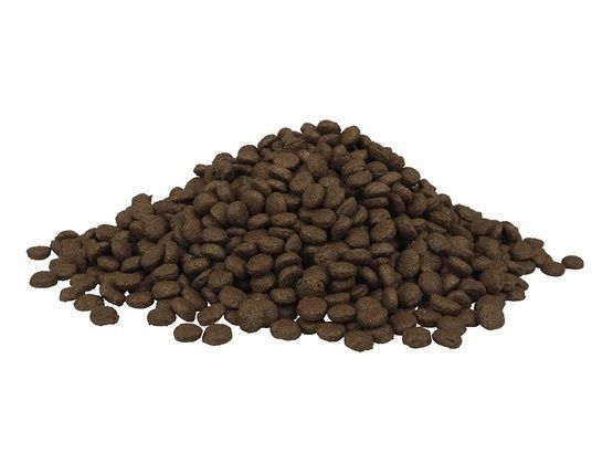 Karma dla kociąt do 12 mies. kotek w ciąży i karmiących Fitmin 1,8kg