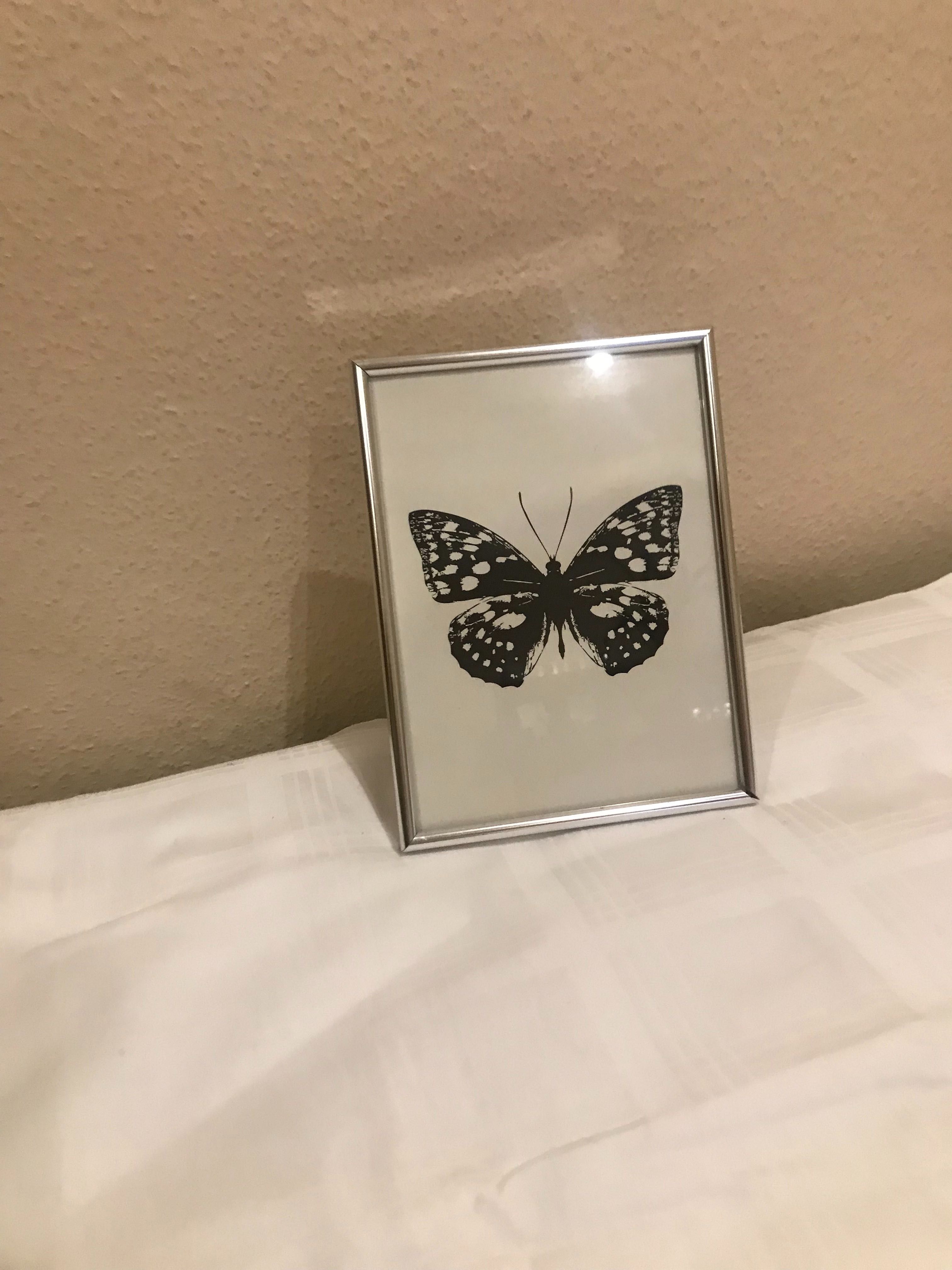 Motyl -obrazek w ramce