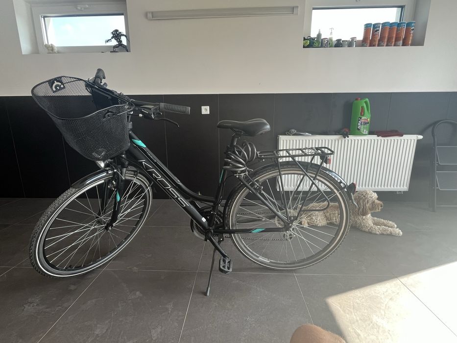 Rower Kross Trans L na sptzedaż