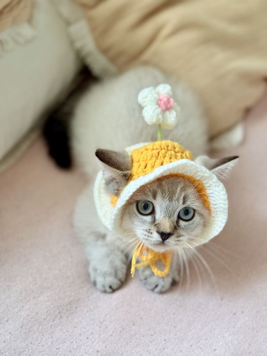 Хлопчик Манчкин