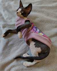 Худі одяг кофта  светр для кота сфінкс ельф