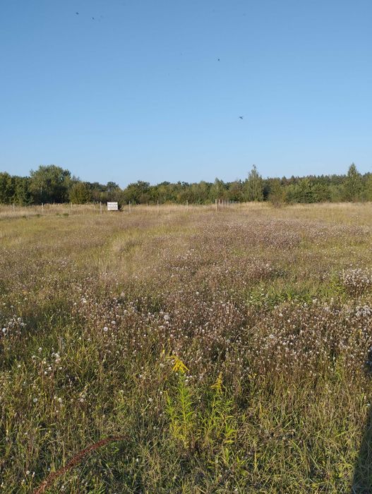 Продаж ділянки за Стрижавкою