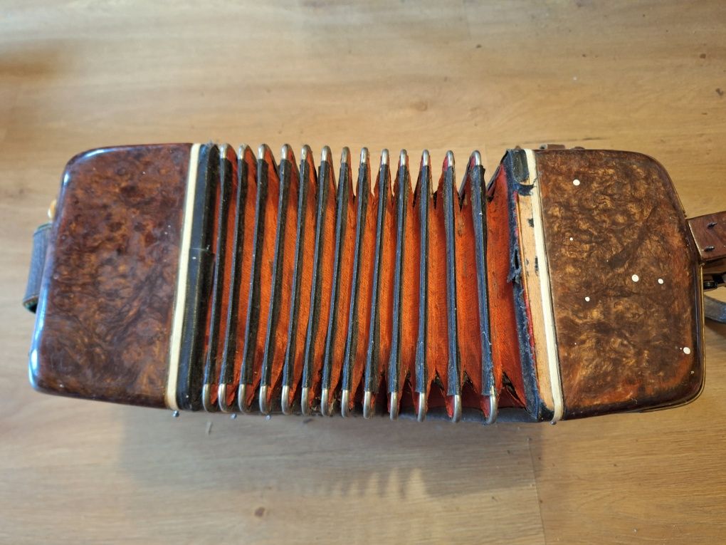 Harmonia guzikowa, akordeon