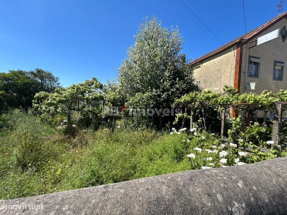 Moradia com comércio e habitação + Moradia T2 + terreno - Chão da S...