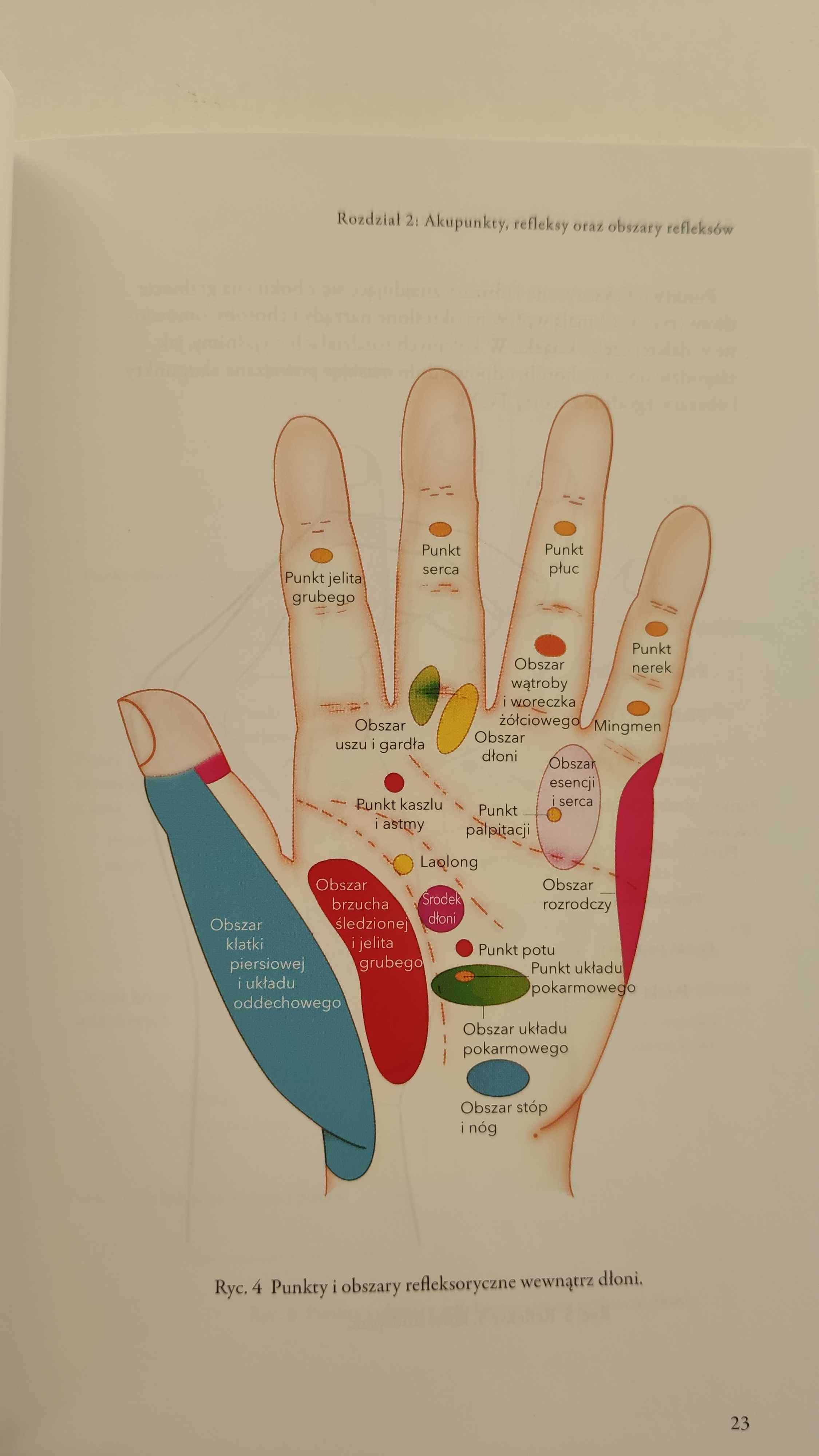 Refleksologia i akupunktura dłoni  Tradycyjnej Medycyny Chińskiej