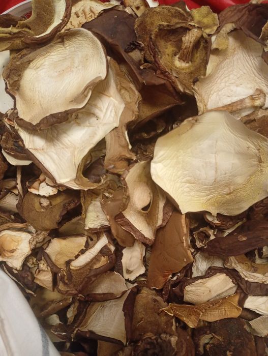 Sprzedam suszone podgrzybki