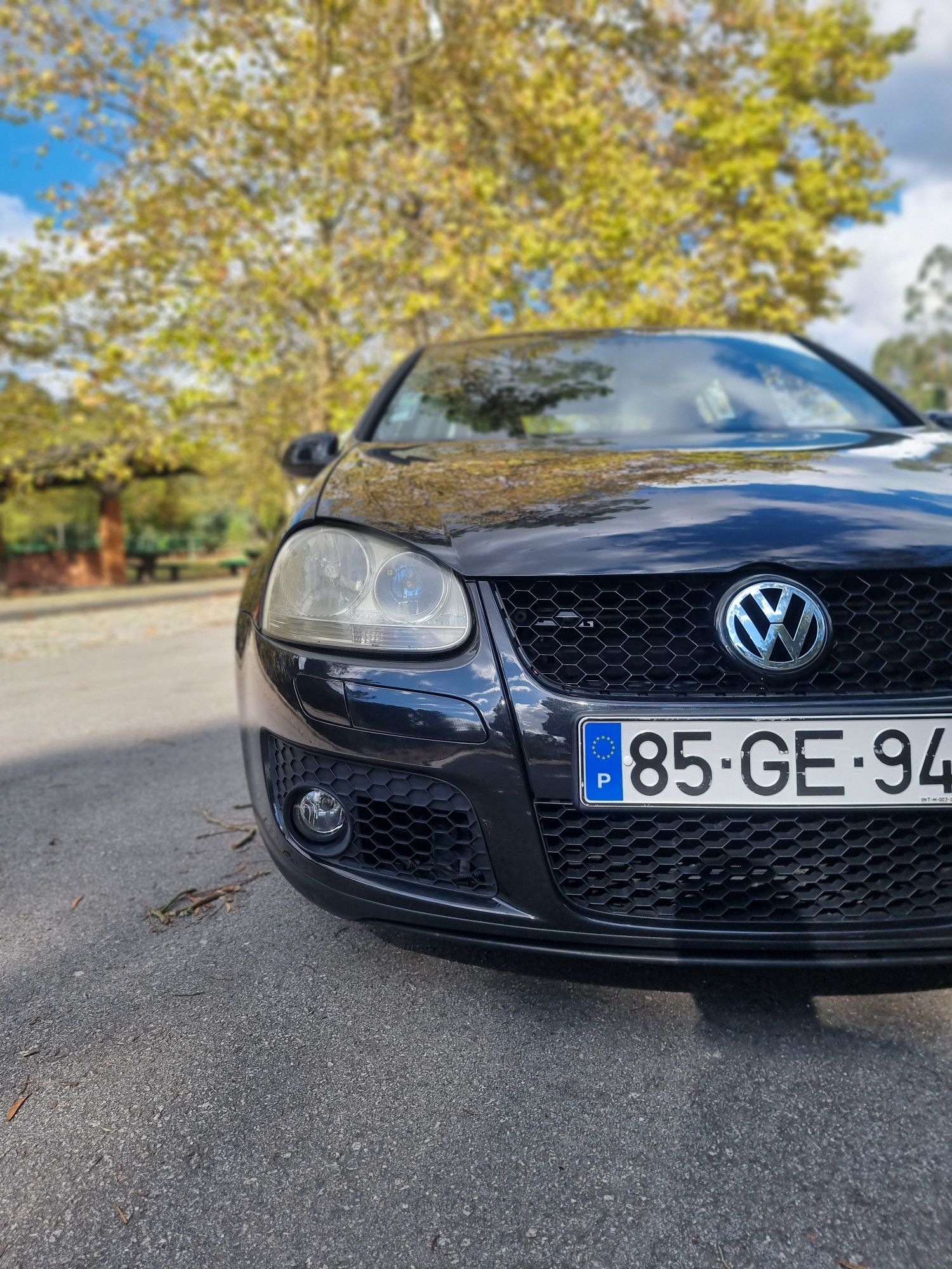 Volkswagen Golf V 1.9tdi