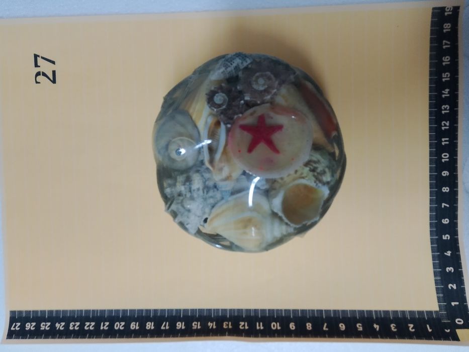 Muszle komplet (muszelki)