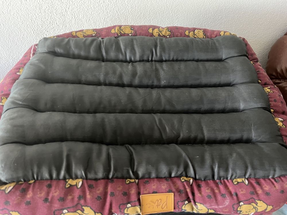 Cama para Cão (Bom Estado)