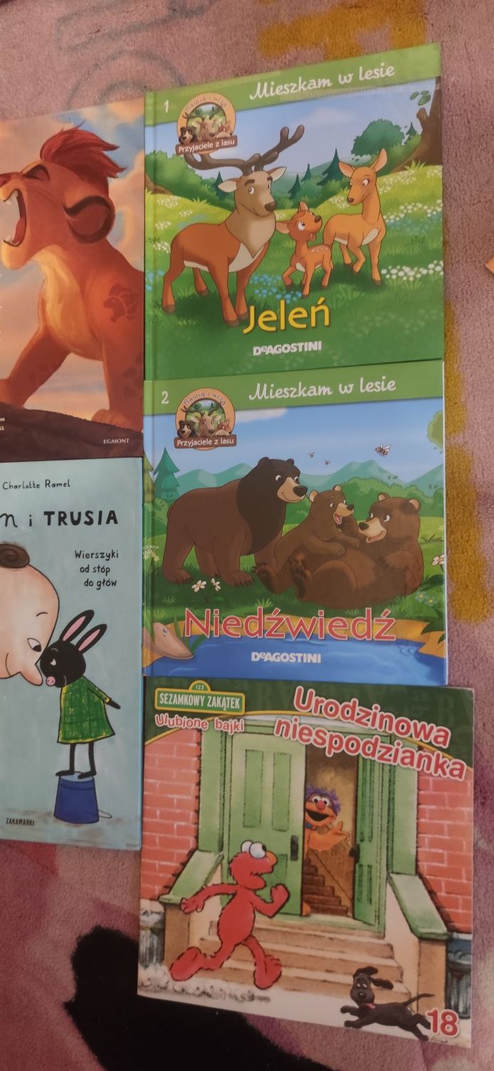 Zestaw komplet książek książeczek dla dzieci Cynamon Elmo Disney