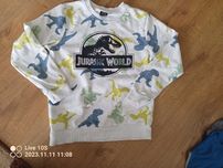 Bluzka dinozaury