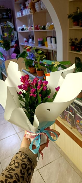 Шлюмбергера,білий яскраво-рожевтй  кучерявий