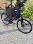 Rower Kross level