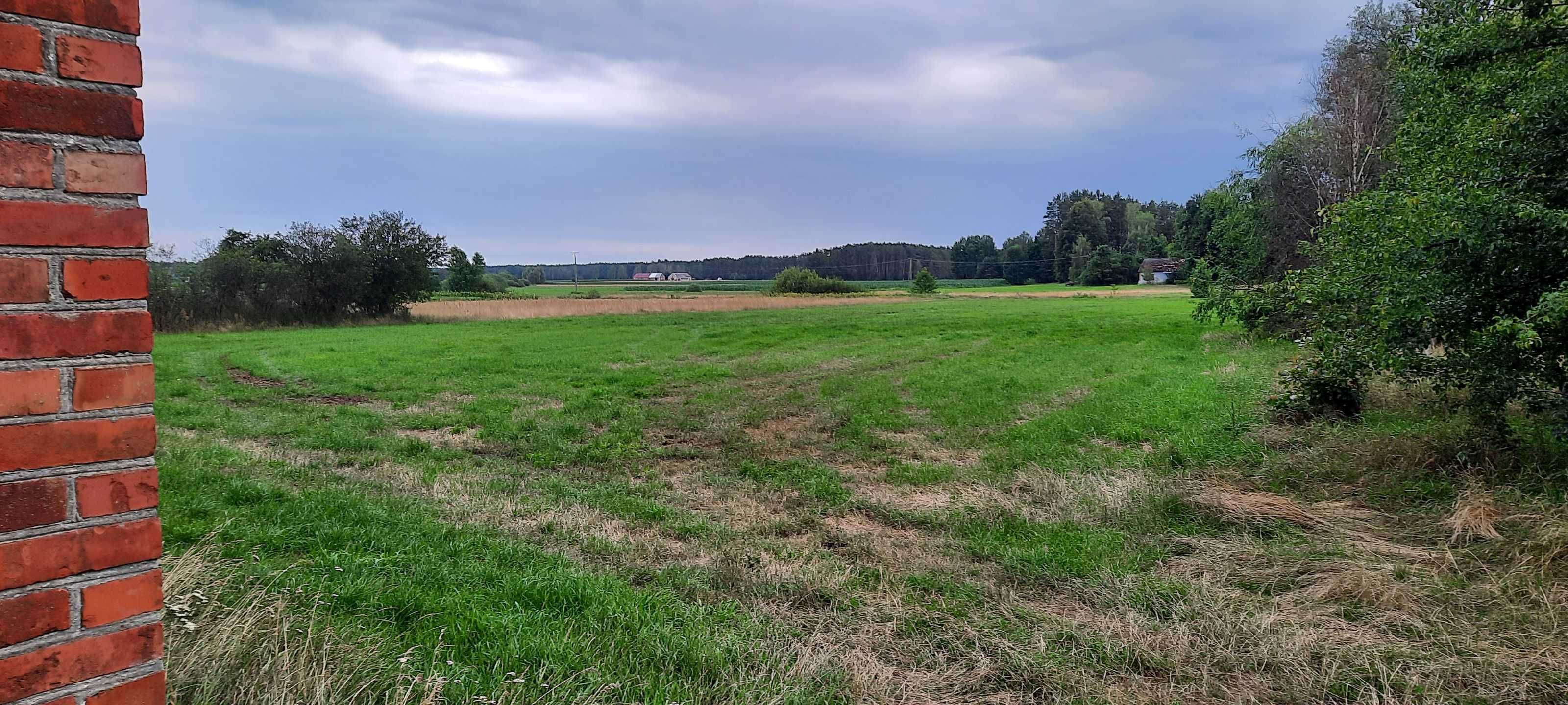 Siedlisko 3200m2 + łąka