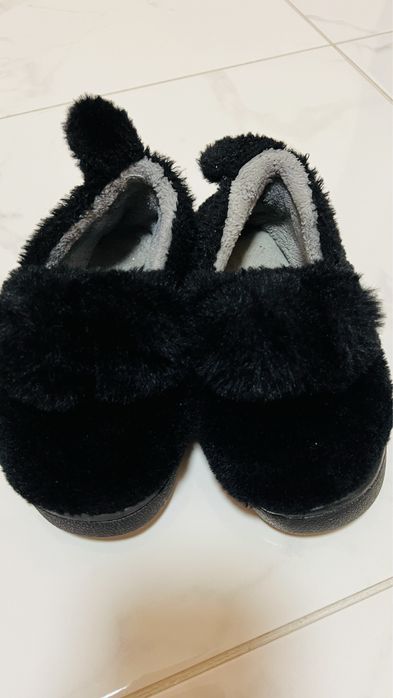 Тарочки кімнатні 19см