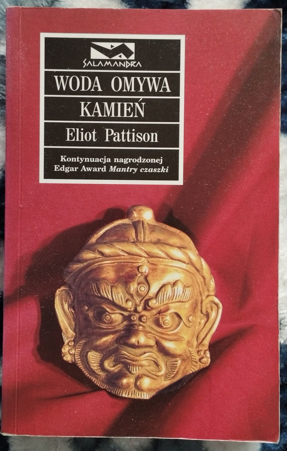 Woda omywa kamień Eliot Pattison