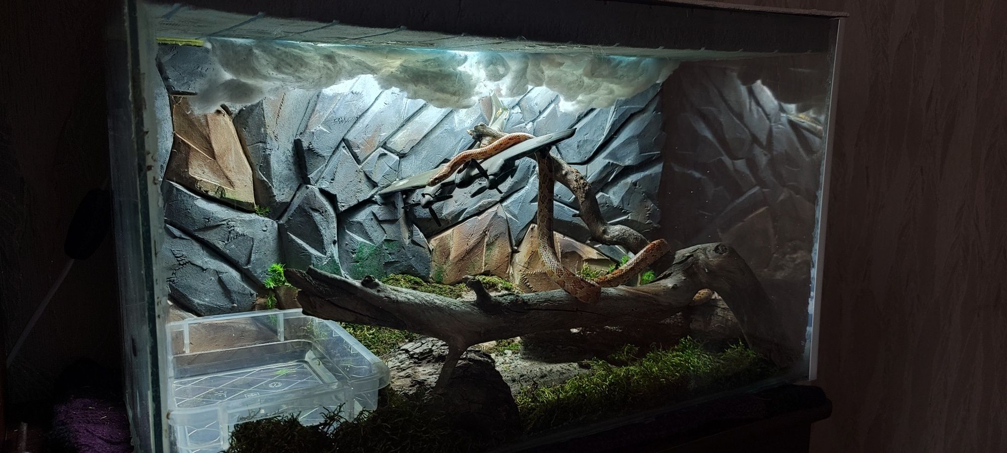Объемные Фоны в аквариум