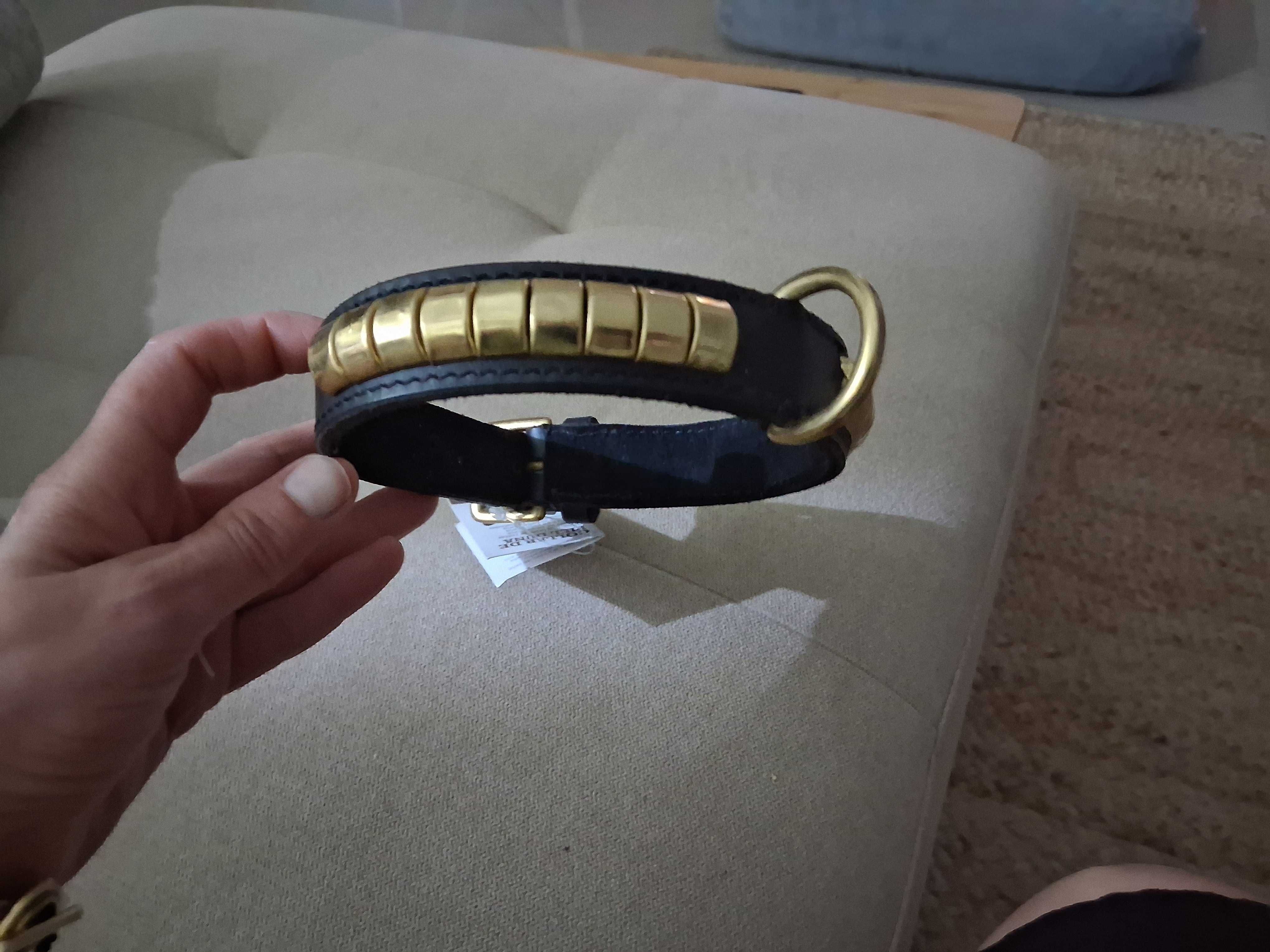 Vendo coleira preta para cao pequeno  e médio com aplicacoes douradas