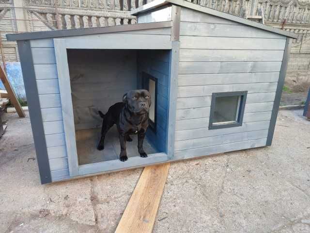 Solidna buda XXL dla dużego psa!!!Nowofunlad Bernardyn Kaukaz okienko
