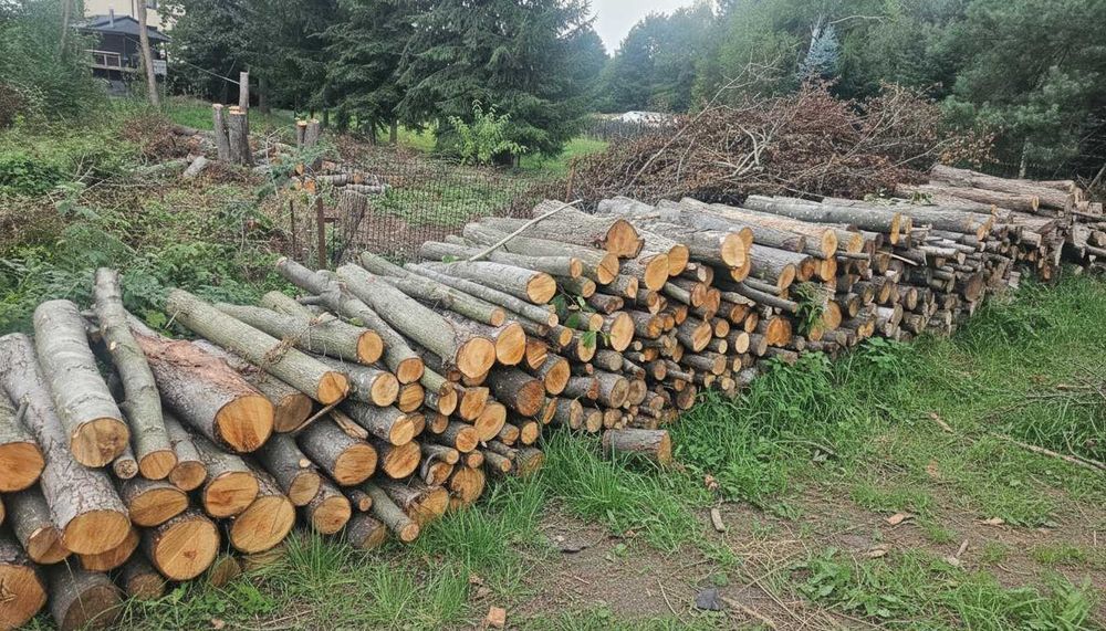 Drewno opałowe sezonowane - 29m³ - ZAGNAŃSK