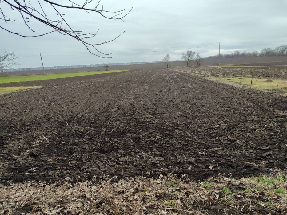 Будинок село Журавлиха