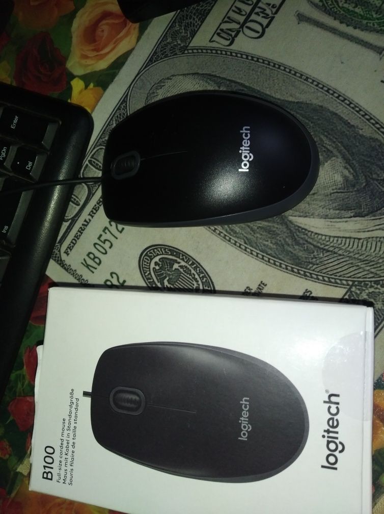 Мишка Logitech B 100