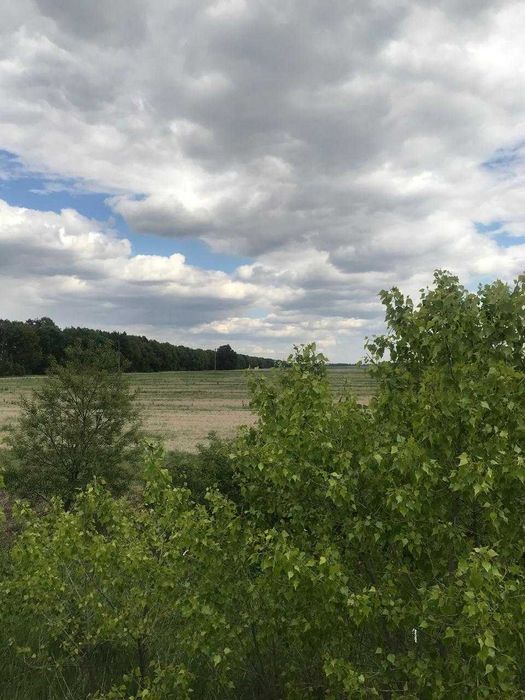 Продам земельну ділянку