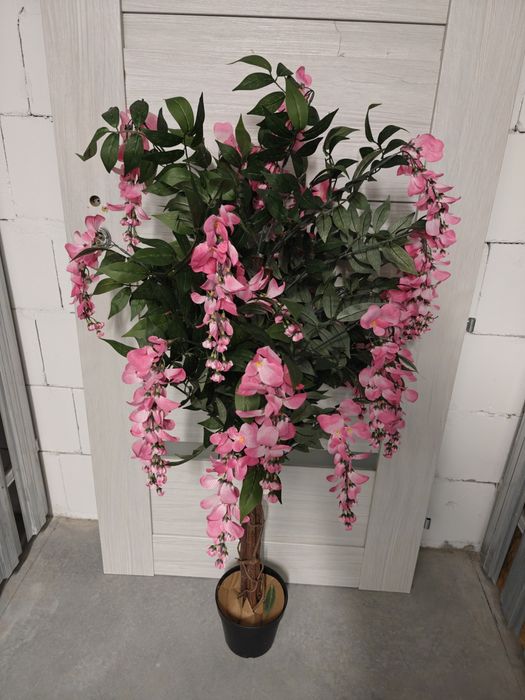 Plantasia 120cm kwiat Wisteria  nowy