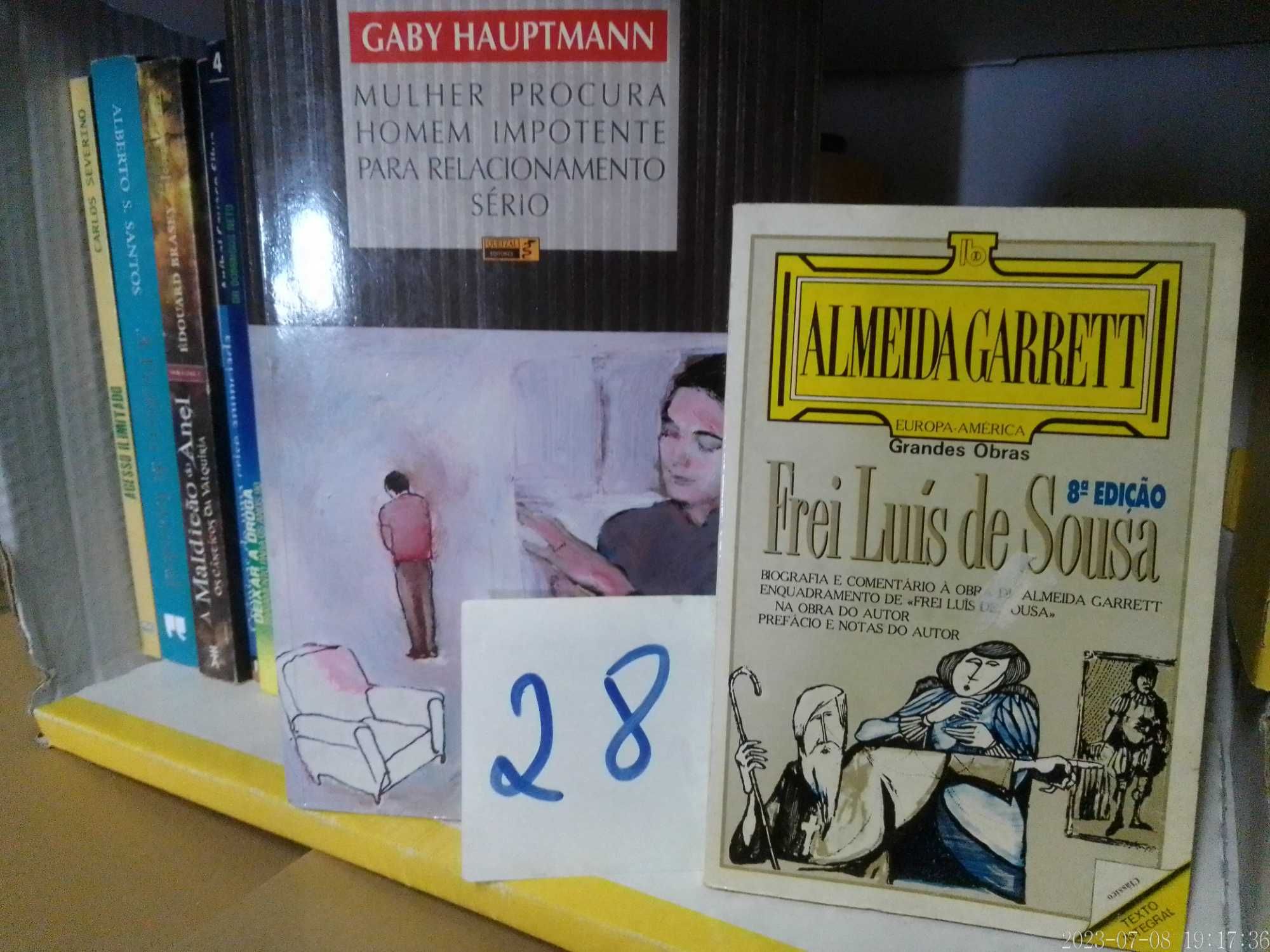 LOTE 28 - LIVROS Diversos - Vendidos EM SEPARADO - Preços Variados