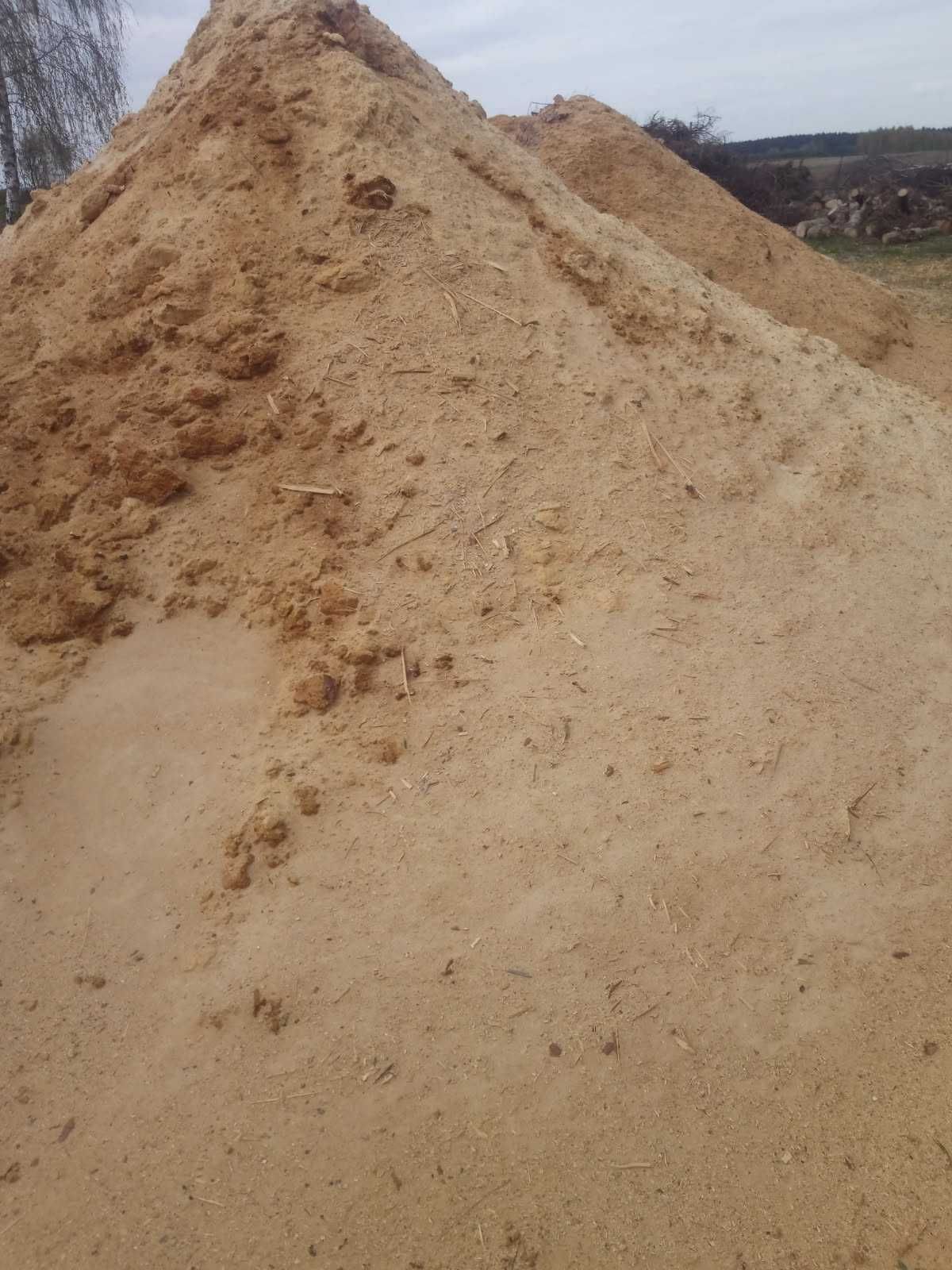Trociny ,pod borówkę ,na pellet