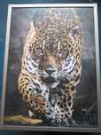 puzzle 1500 peças